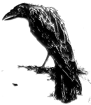 The Raven